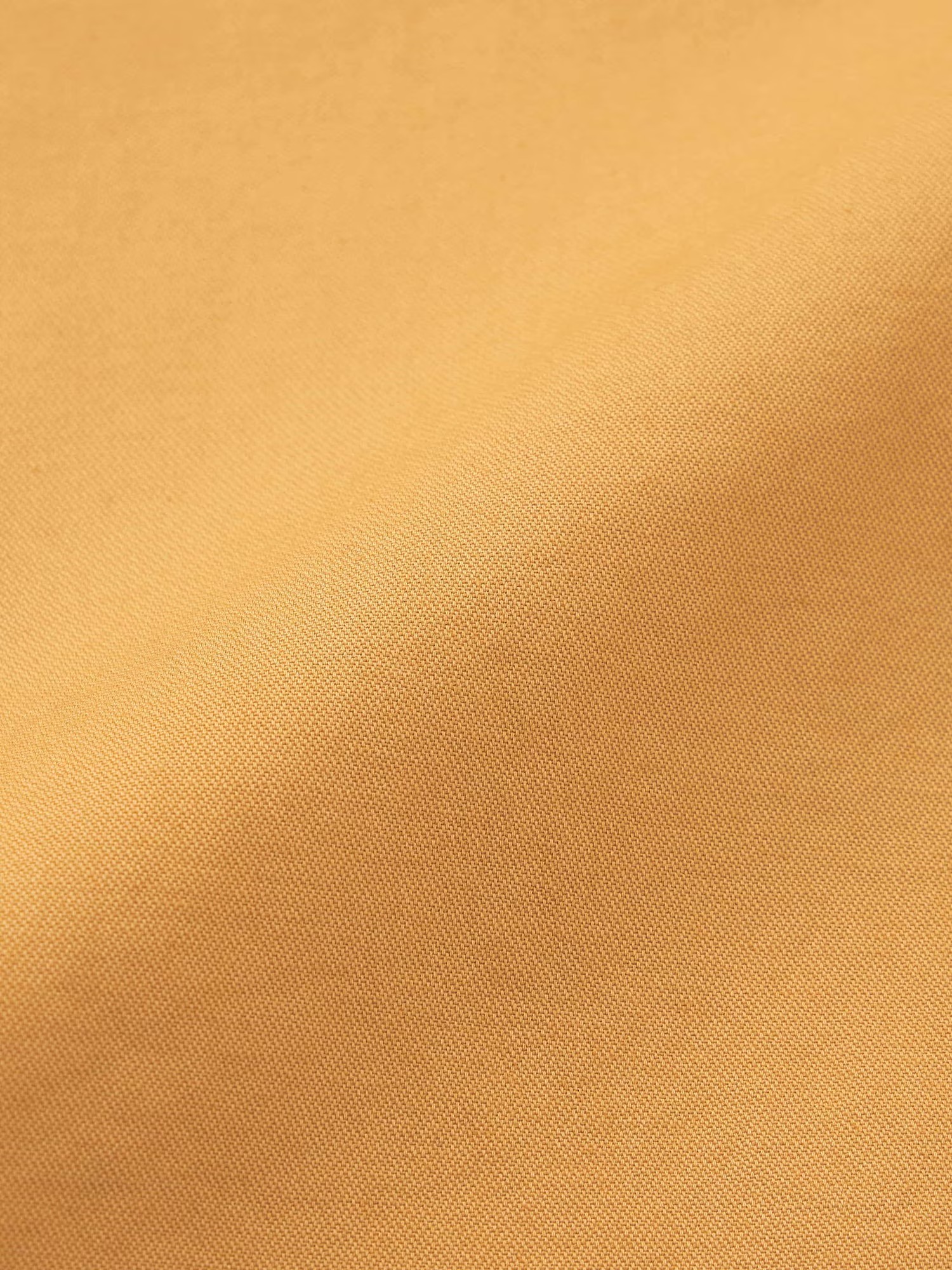 ed6e3270ed6b029471415d64ddfa8afb_1756270014_4838.jpg