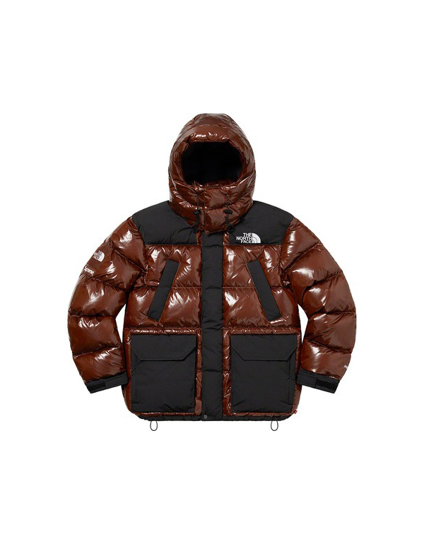 Supreme The North Face 700-Fill Down Parka Brown