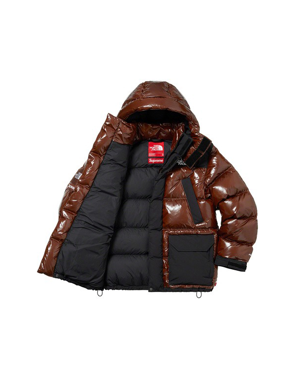 Supreme The North Face 700-Fill Down Parka Brown