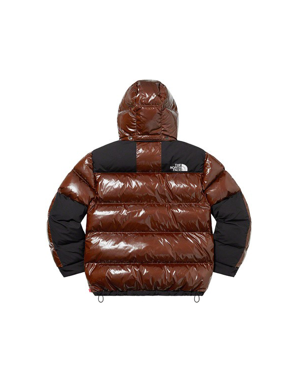 Supreme The North Face 700-Fill Down Parka Brown