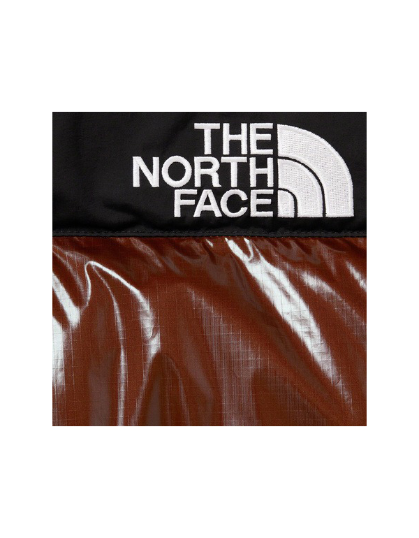 Supreme The North Face 700-Fill Down Parka Brown